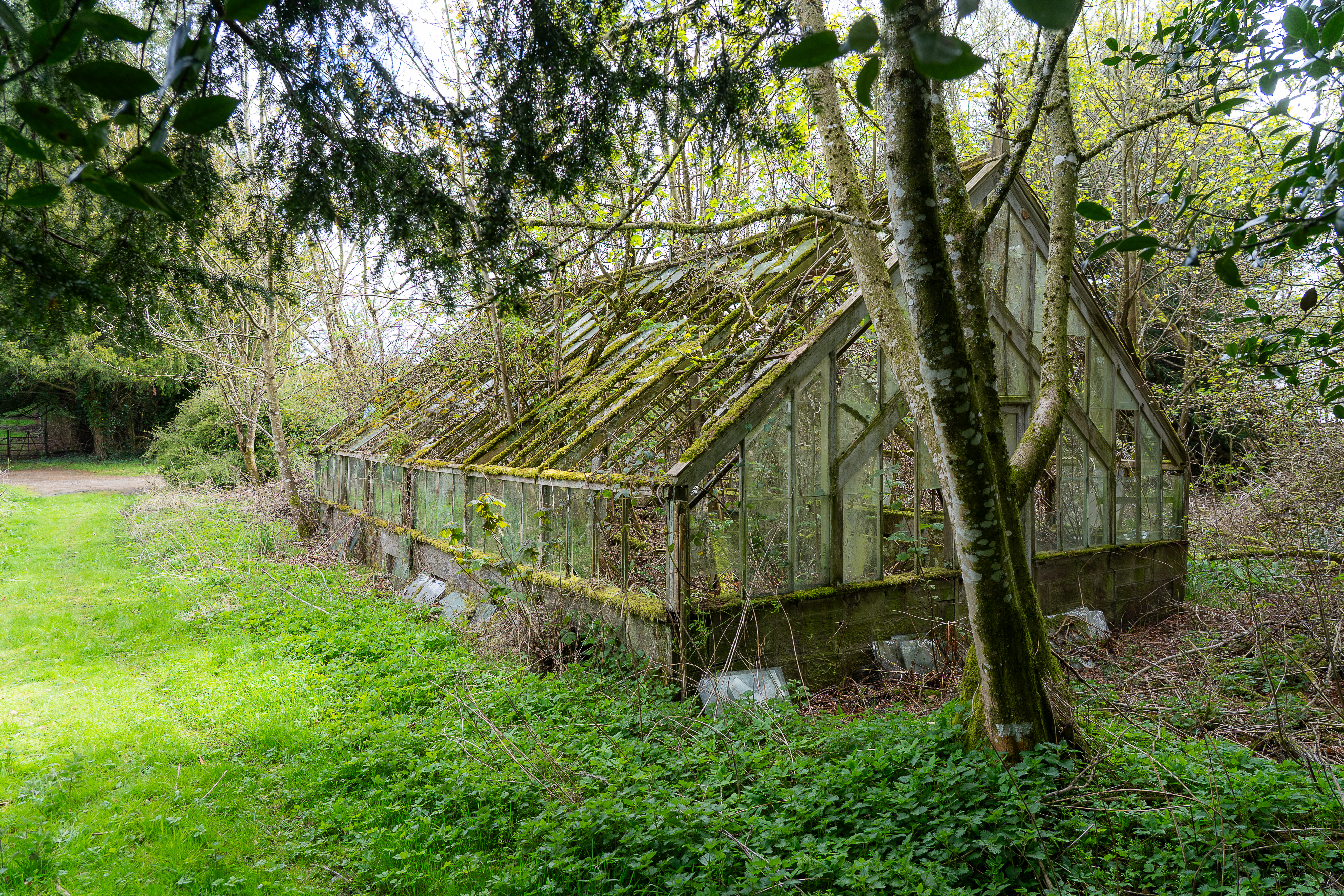 Ruined Victorian glasshouses Hallyburton Estate