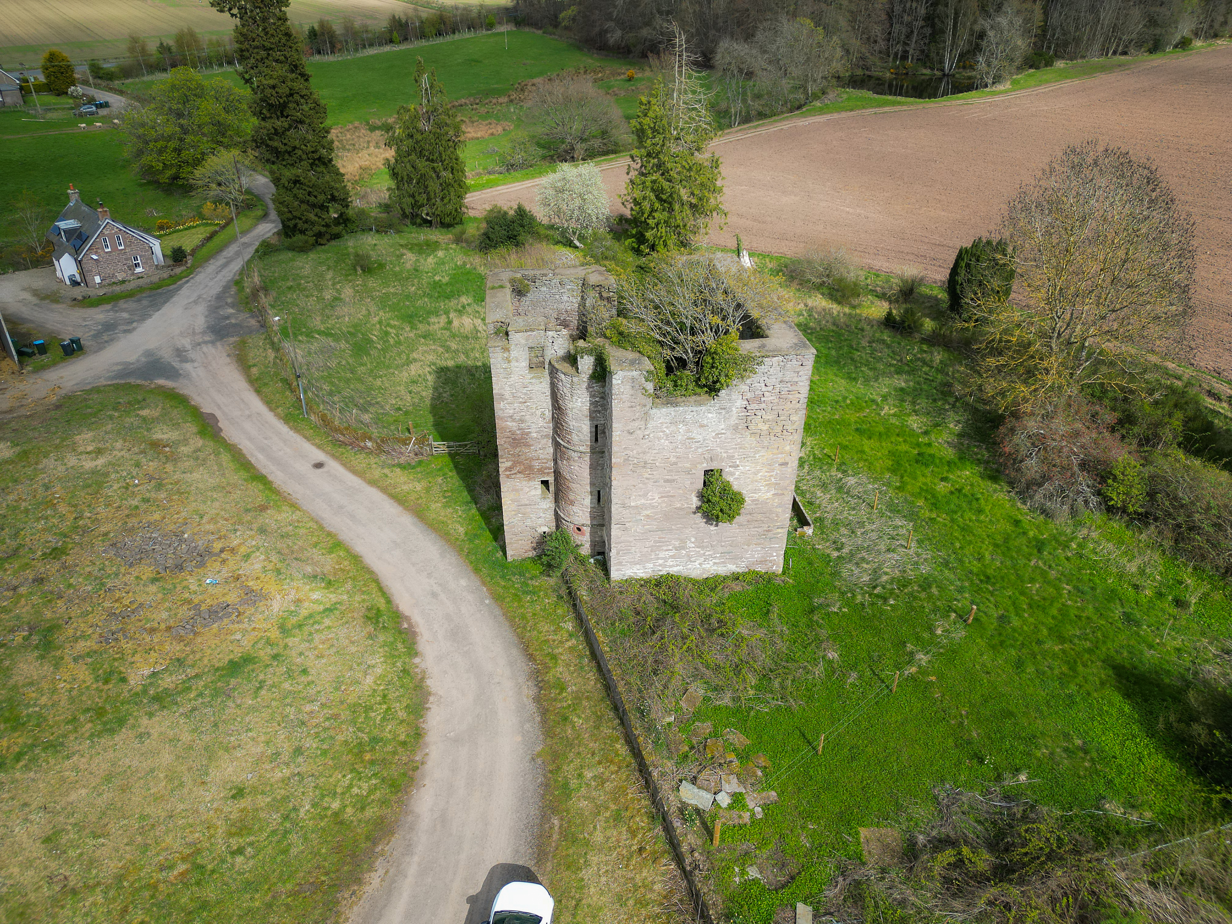 Pitcur castle ruin Hallyburton Estate