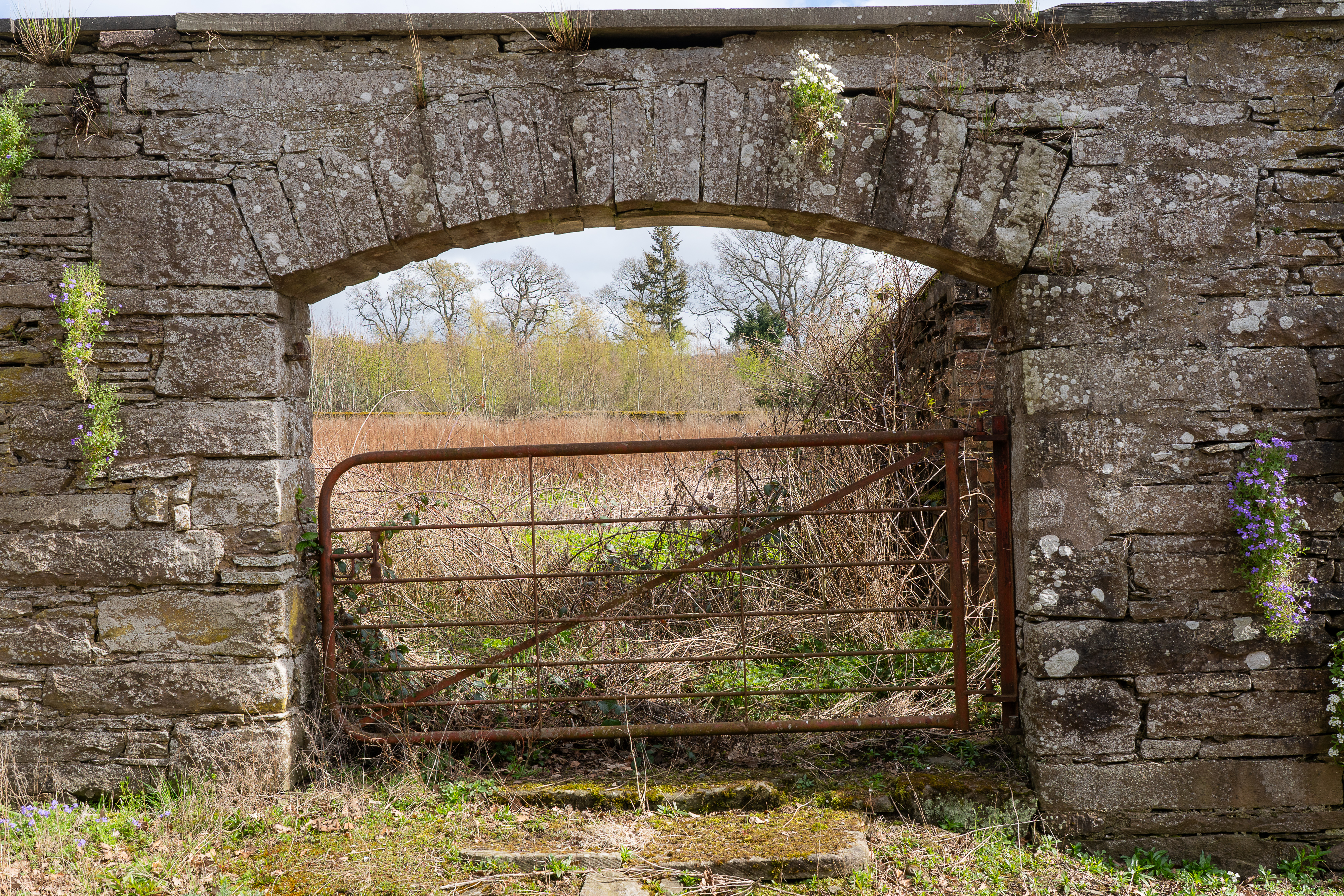 walled garden hallyburton estate