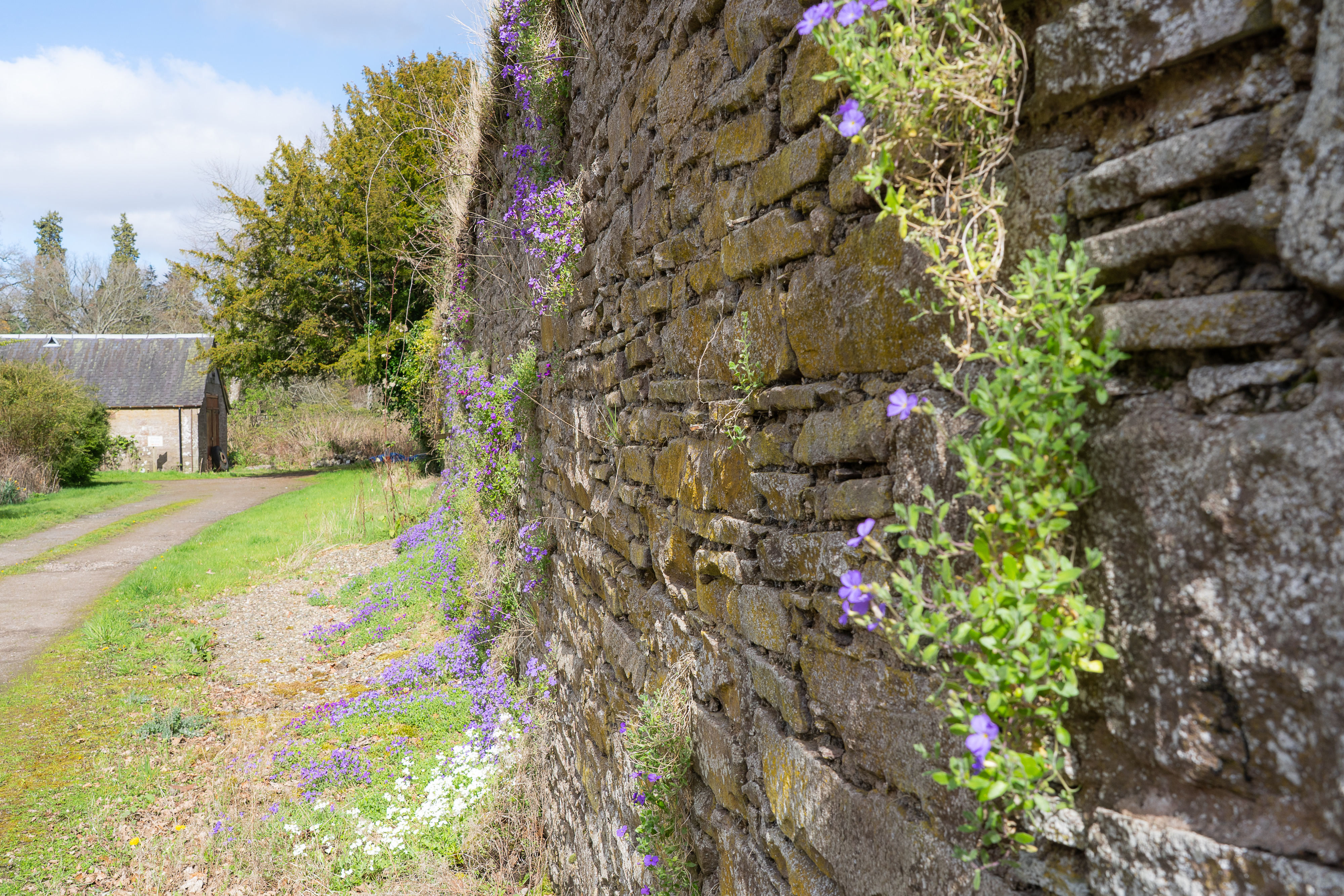 Wall Hallyburton estate