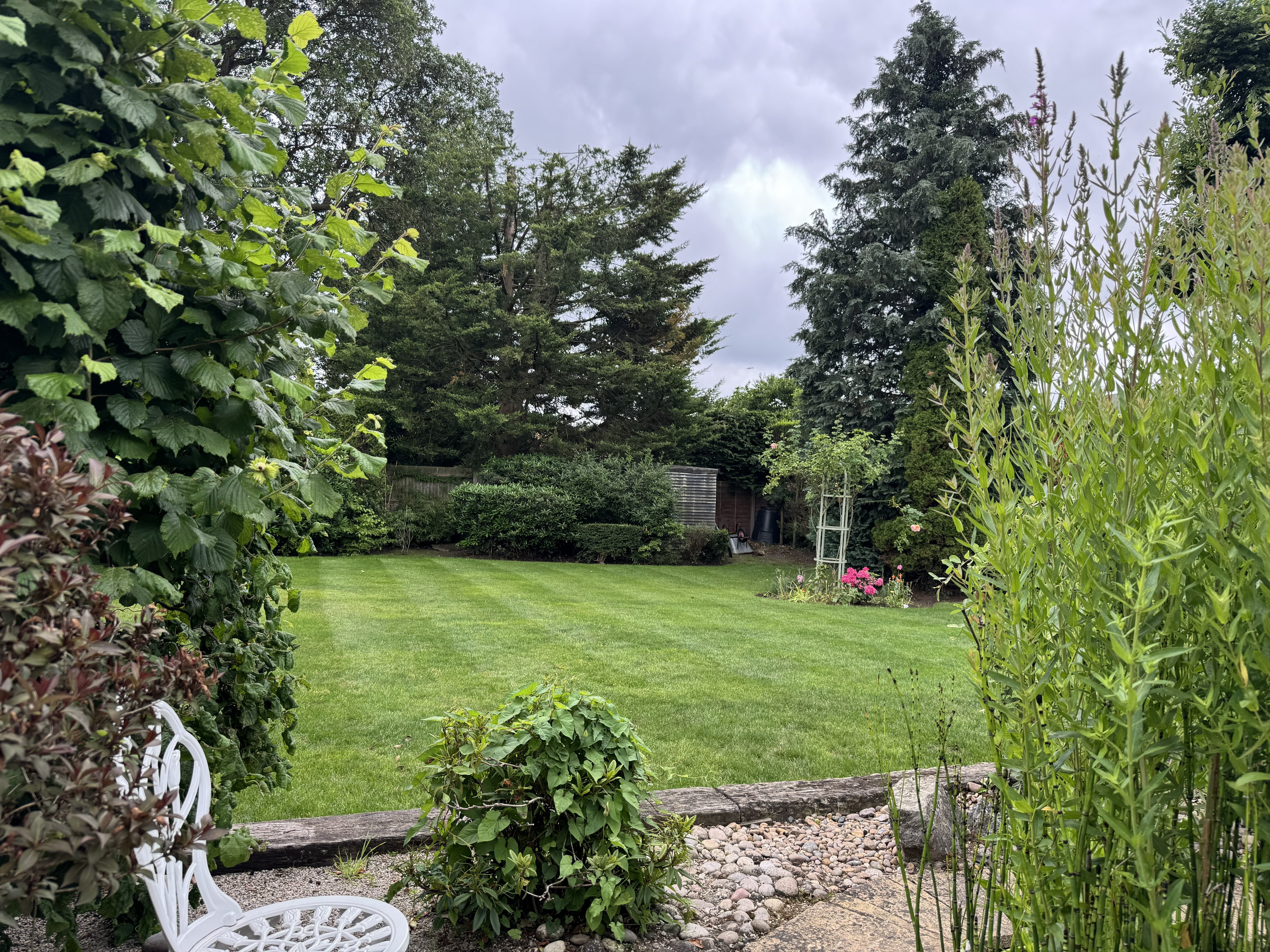 Back Garden