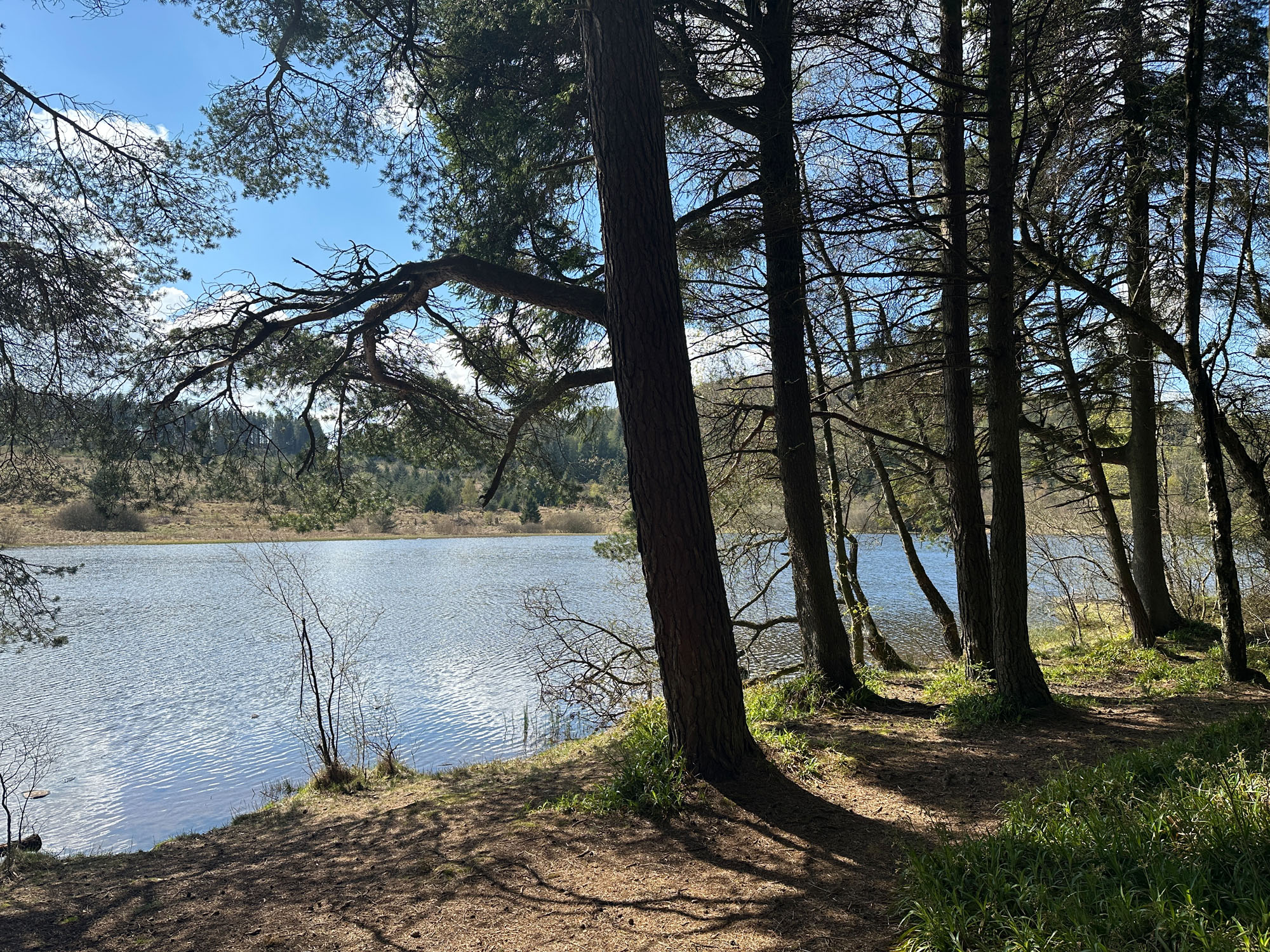 Loch Hallyburton Estate