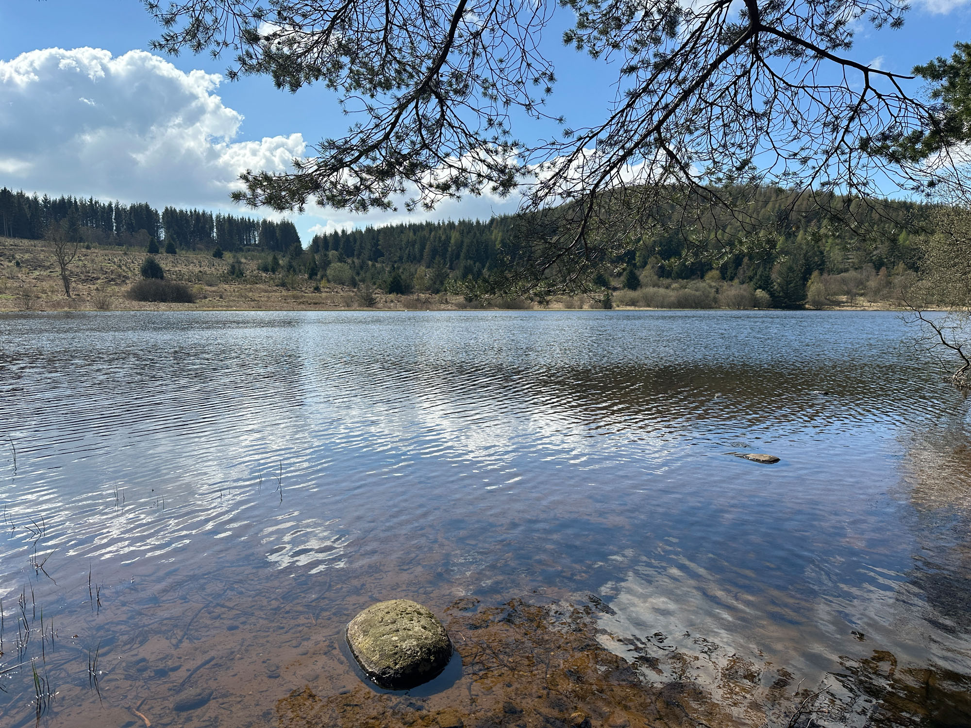 Loch Hallyburton estate