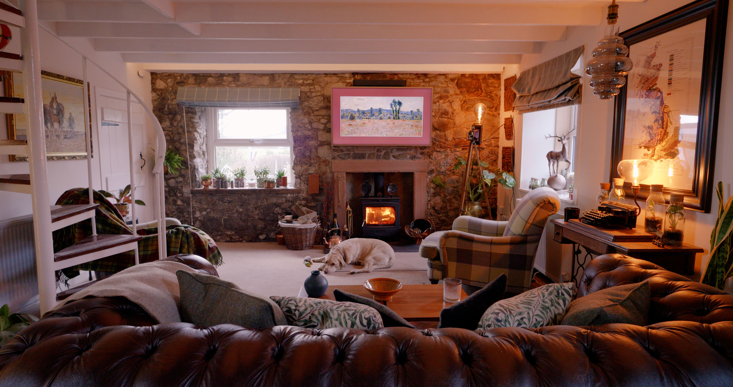 A wide interior shot of a traditional Scottish cottage living room featuring a rugged exposed stone wall, a roaring log burner fireplace, white ceiling beams, a tufted brown leather Chesterfield sofa, and a yellow Lab dog sleeping on the floor.