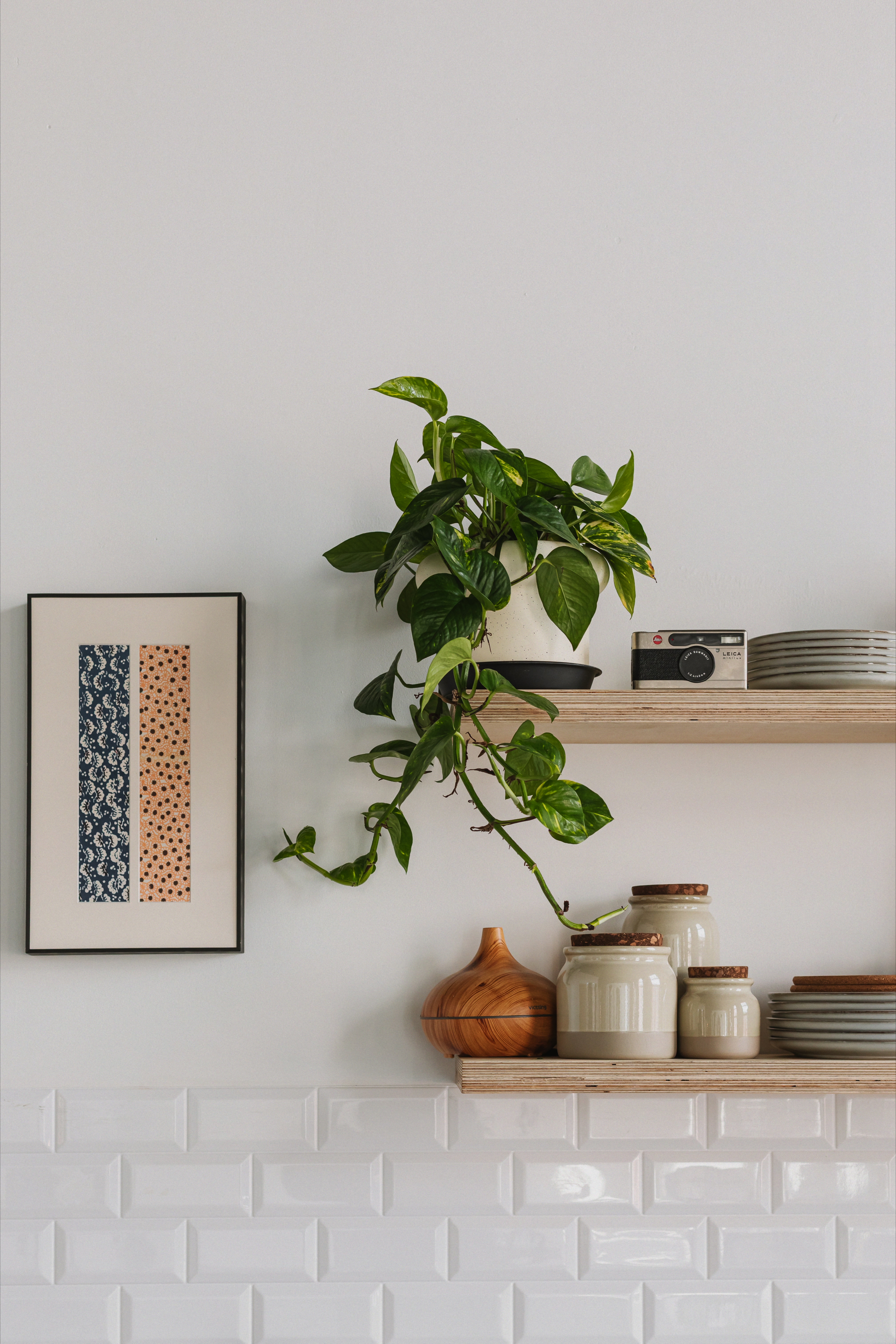 Trailing houseplant, framed artwork and vintage camera on kitchen shelving.